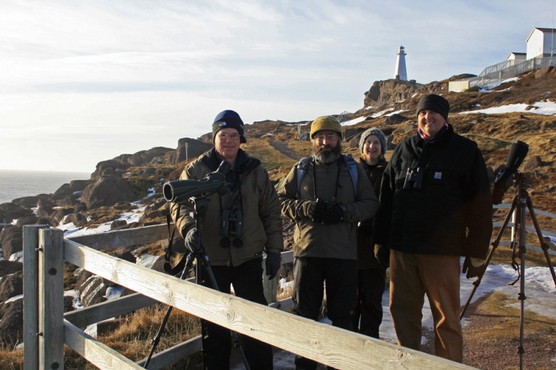 Four enthusiastic birders from across the United States visited St. John's last week as part of the WINGS winter tour. Here they can be seen at Cape Spear, smiling after scoring great looks at two prime targets - Purple Sandpipers and Dovekie!!