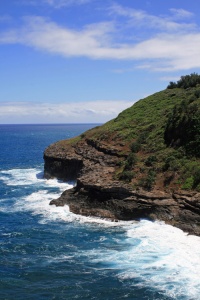 A view from Kilauea Point. Hundreds of Red-footed Boobies use this particular slope to hang out and raise their young.