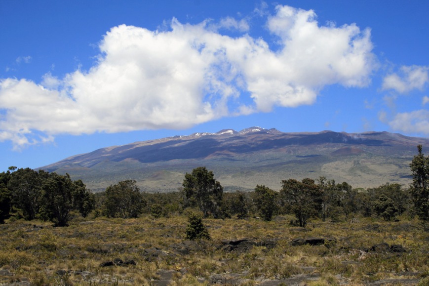 A view of Mauna Kea, taken from the Puu Oo trail. This is a fabulour hike through some very interesting landscapes, not to mention some very hot birding!