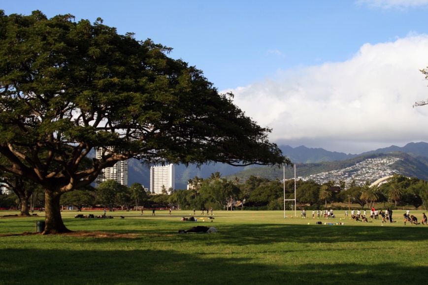 Kapiolani Park offers some wonderful birding, right in the middle of beautiful Waikiki, Honolulu.