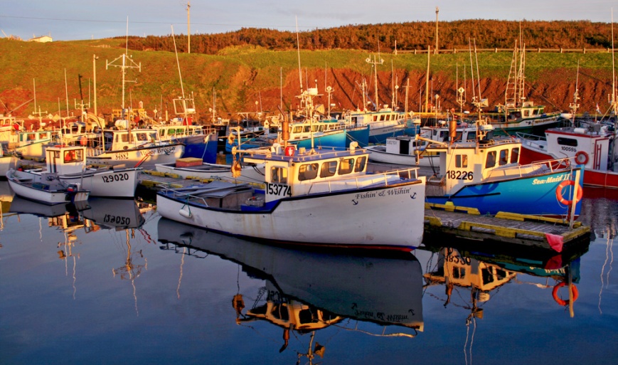 I enjoyed some stunning evening light and scenery at the beautiful boat harbour in St. Bride's ...