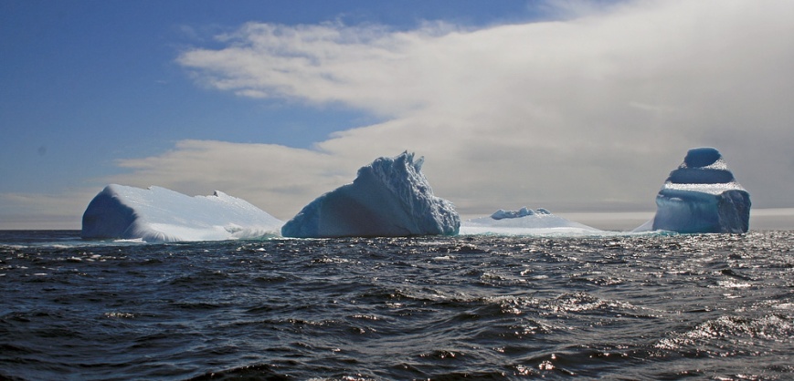 Icebergs_StJohns_3826