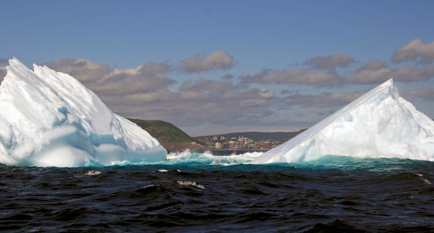 Not surprisingly, the highlight was getting up close and personal with more icebergs. Here we could see St. John's in the distance between two bergs.