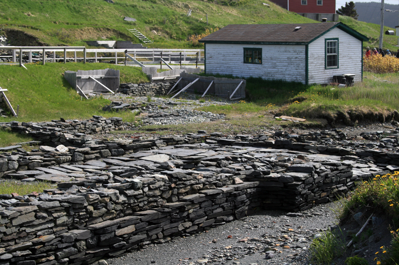 The archaeological dig at the Colony of Avalon (Ferryland) showcases one of North America's earliest European settlements. 